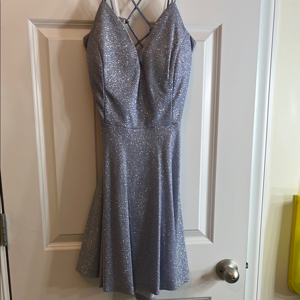 Windsor Silver Fit and Flare Mini Dress